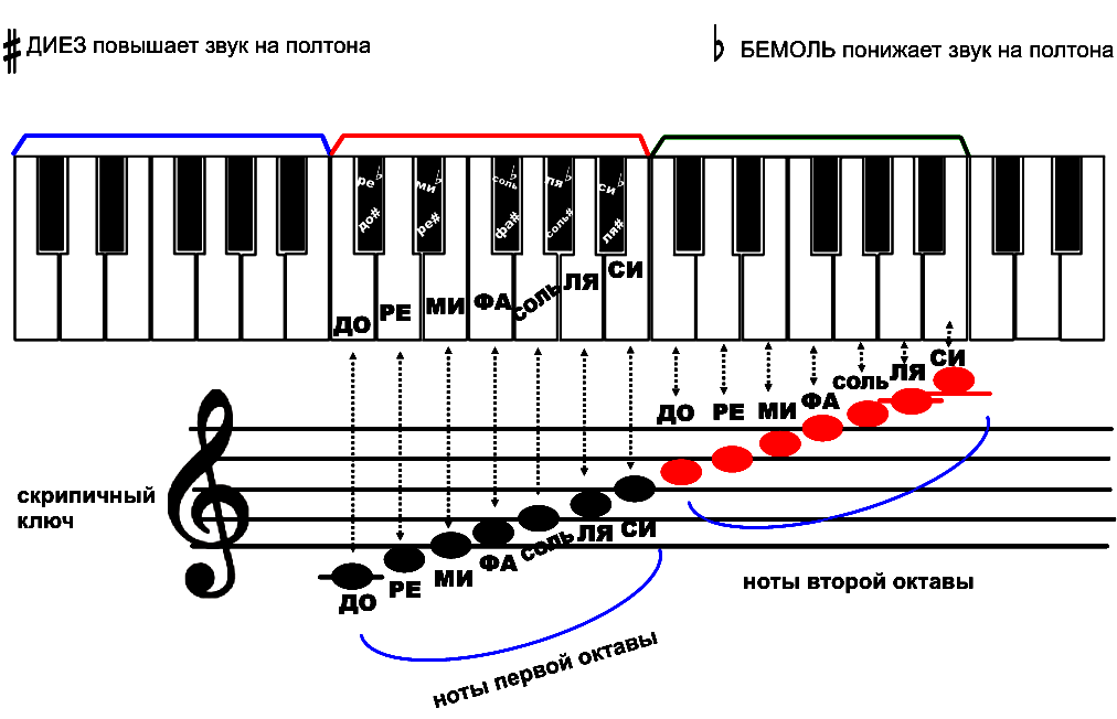 Диез фортепиано. Соль диез малой октавы. Си бемоль второй октавы. Соль диез первой октавы. Бемоли первой и второй октавы.